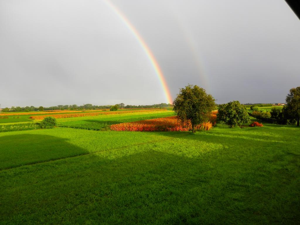 Agriturismo Cjargnei 포볼레토 외부 사진